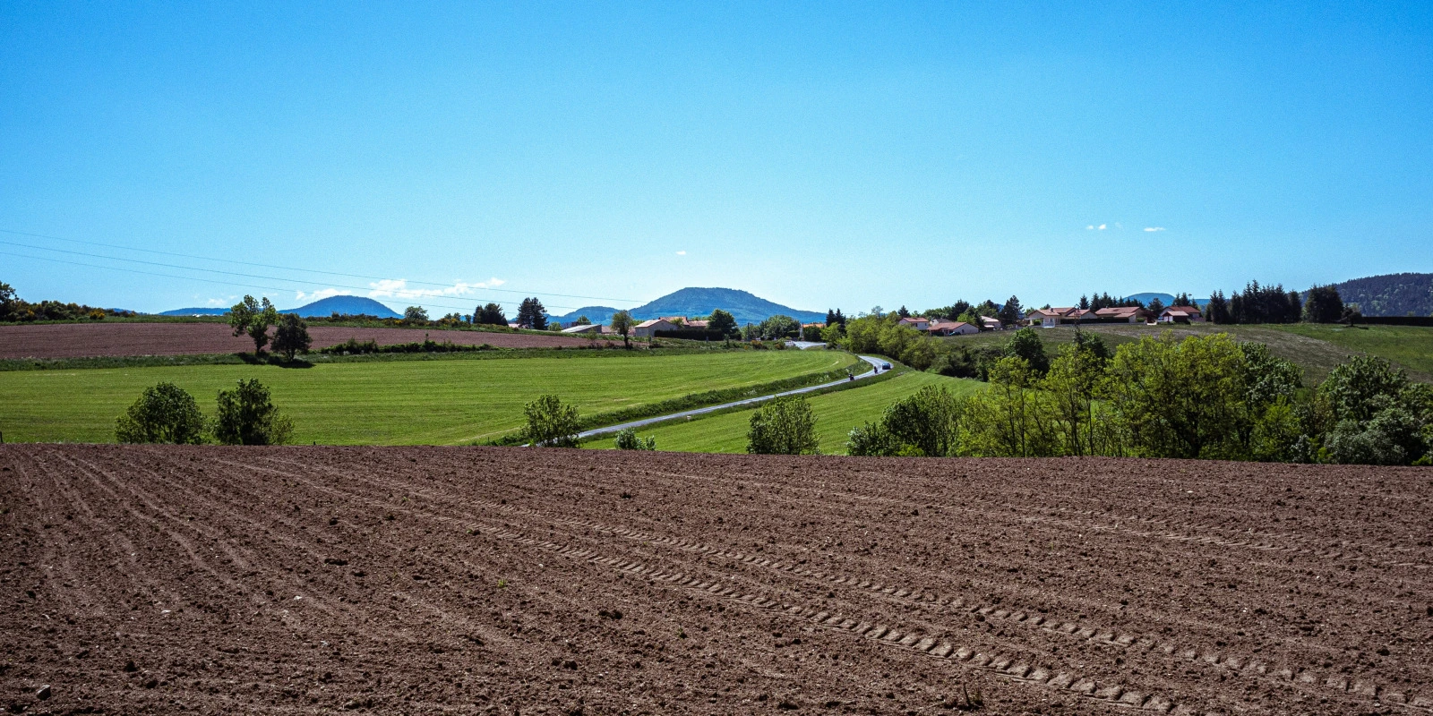 BTSA Aménagements Paysagers : Épreuves et Coefficients