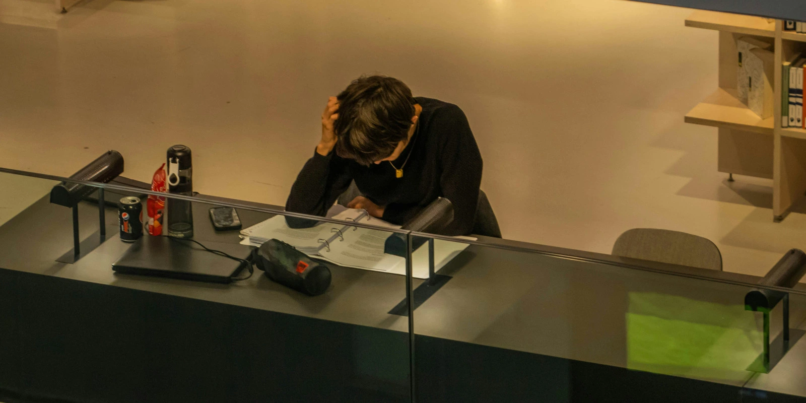 BTSA Aménagements Paysagers : Rapport de Stage